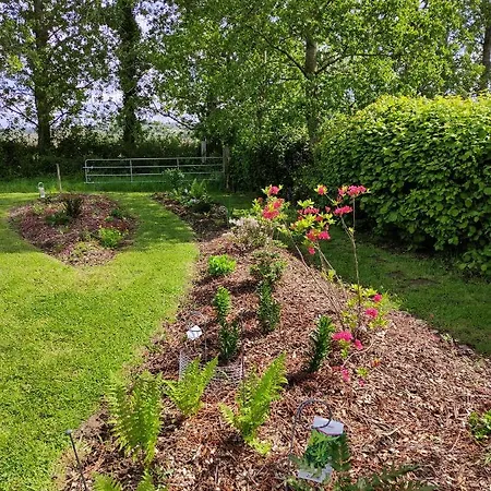 Manoir Du Kasteelveld Penzion