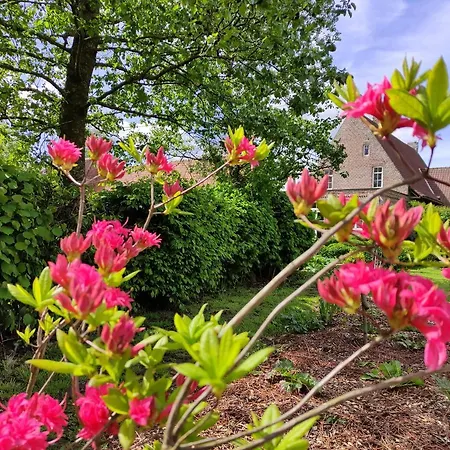 Manoir Du Kasteelveld Maison d'hôtes