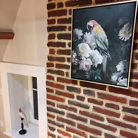 Manoir Du Kasteelveld Penzion 3*