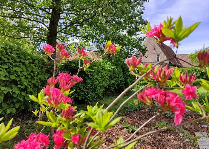 Manoir Du Kasteelveld Affittacamere