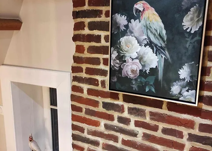 Manoir Du Kasteelveld Affittacamere 3*